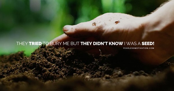 When buried, remember the life of a seed…